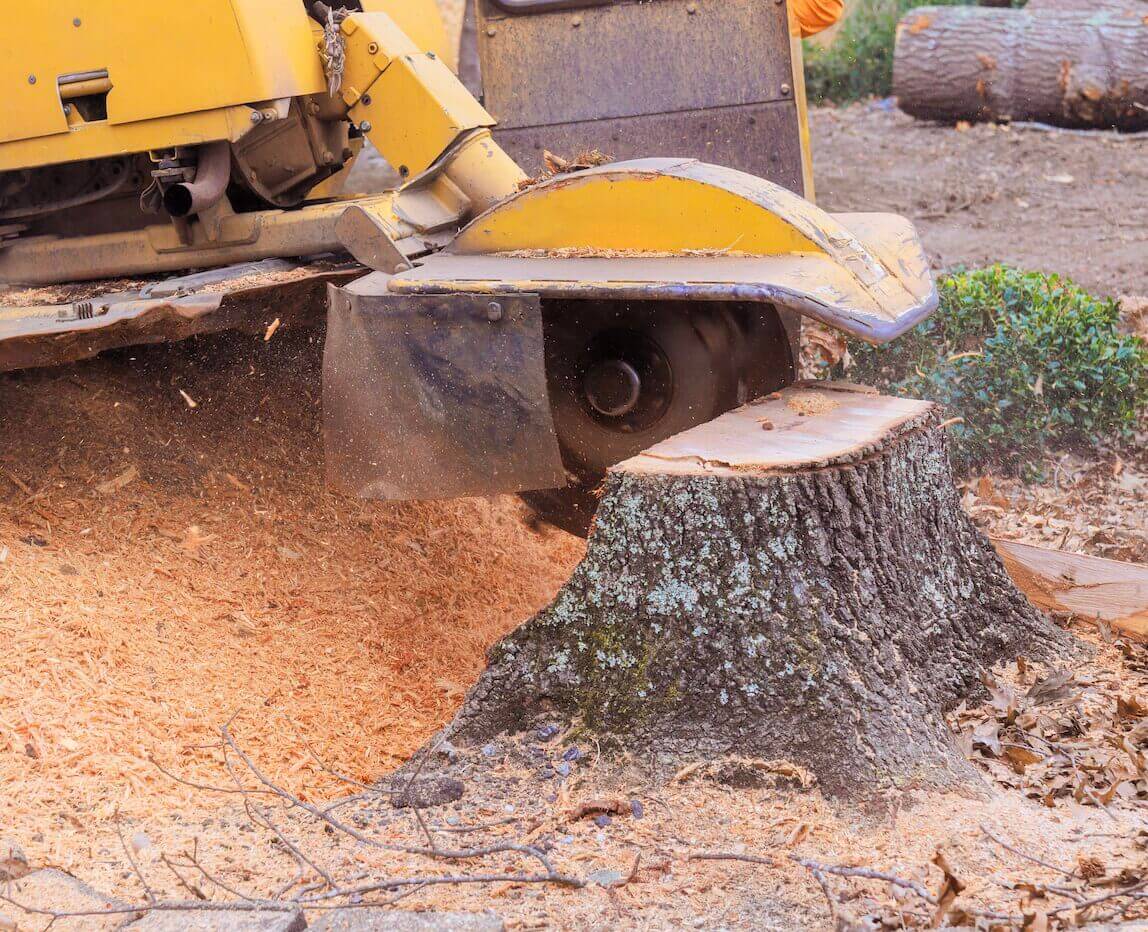 Precision Tree Pruning